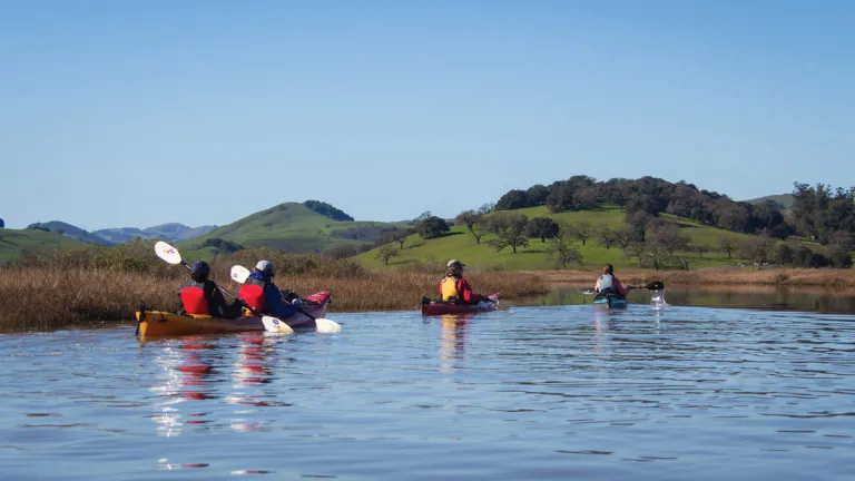 Several paddlers canoeing on the Petaluma Marsh.