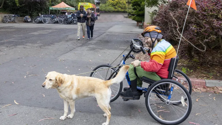 A wheelchair user riding a hand-cycle bicycle provided for free through the Adaptive Bicycling program in Golden Gate Park.