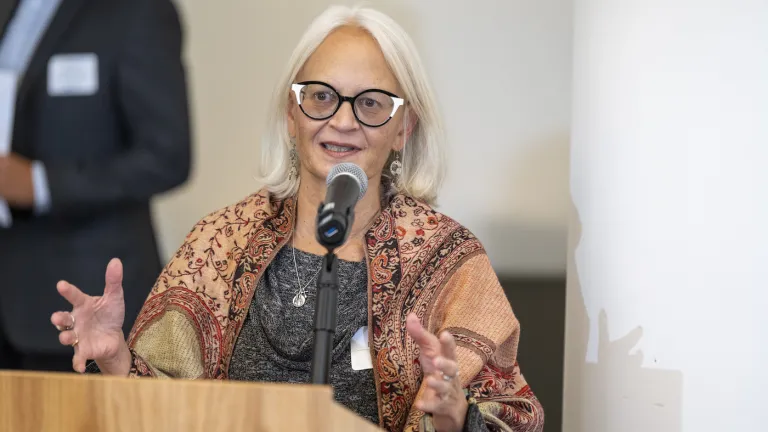 Executive Director Therese W. McMillan speaks at a podium.