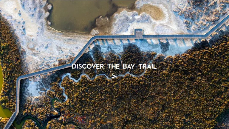 Bay Trail