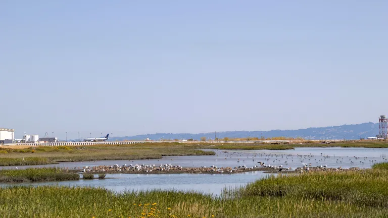 A segment of the Bay Trail near San Francisco International Airport.