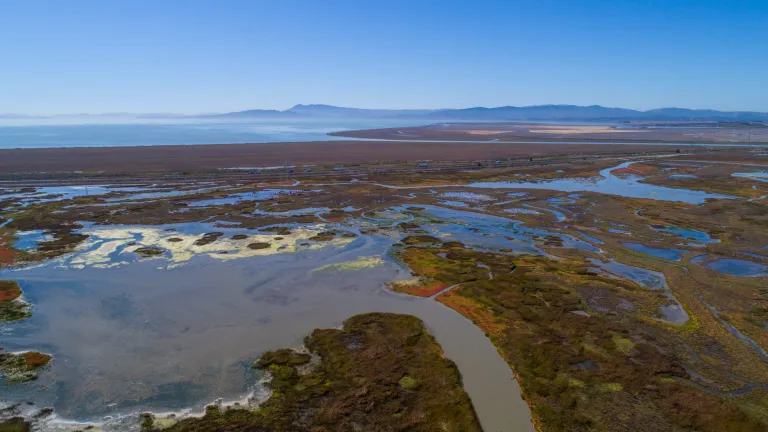 North Bay Wetlands