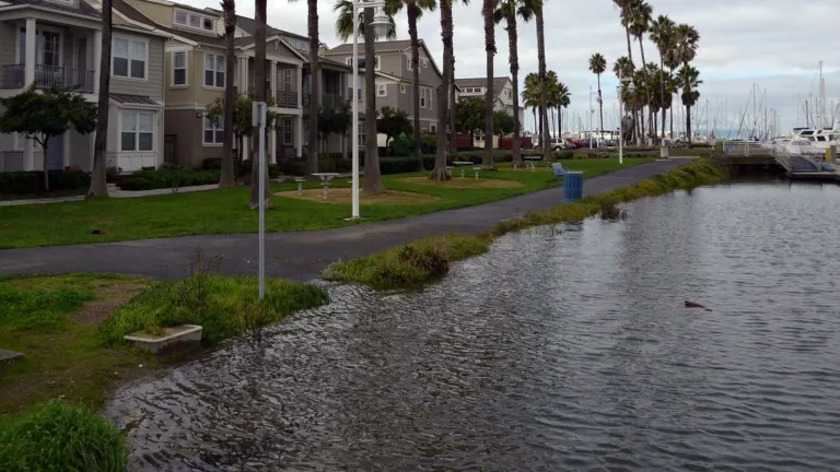 The footpath in front of the new condo construction on the Grand Marina in Alameda. The condos have raised steps up to their front doors (about 1 foot high), but during a high tide with storm surges water will reach the front doors.