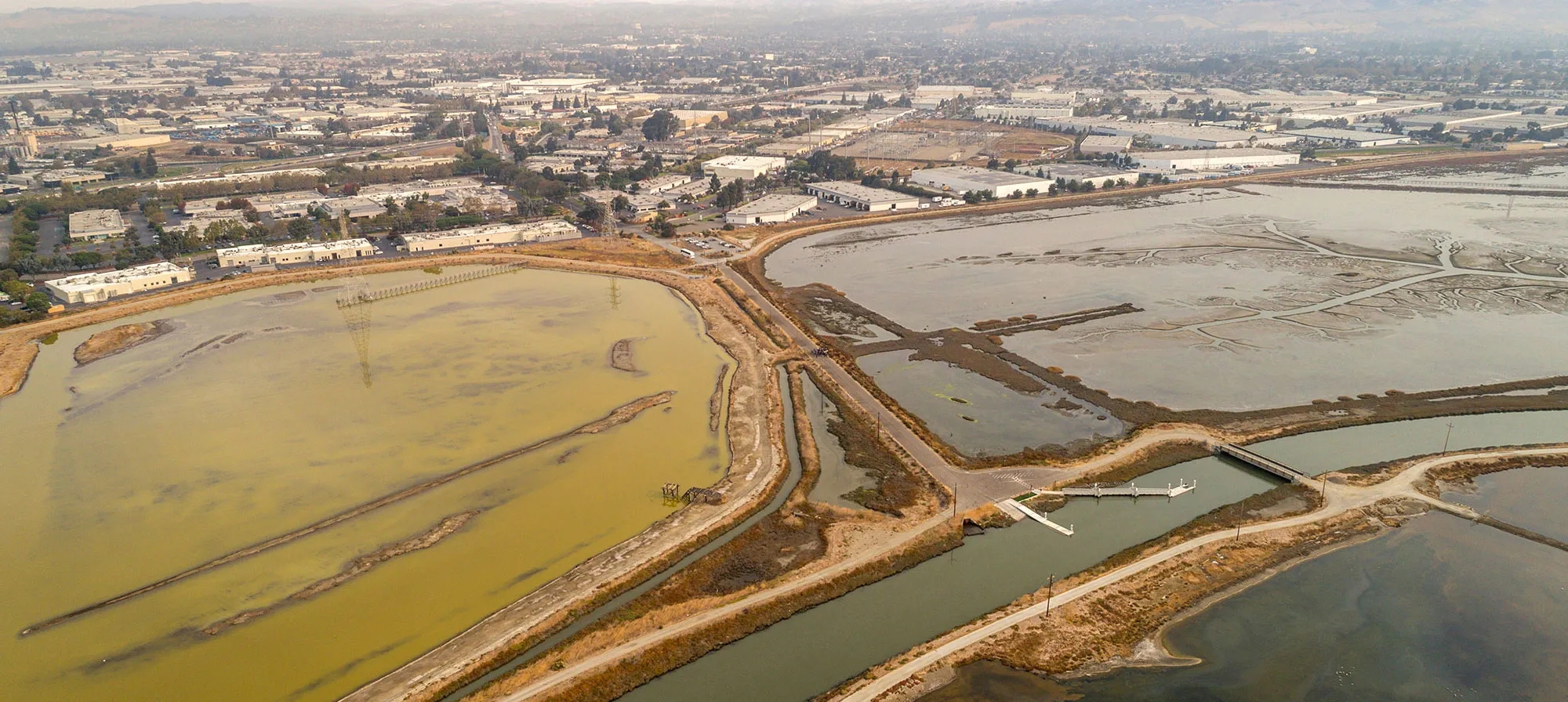 Salt Pond