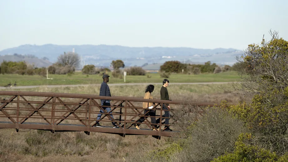 People walking on a path above protected wetlands on the Bay Trail.