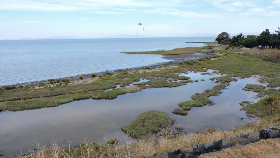 Bay Trail Openings: Hercules and Pinole