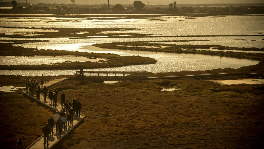 Design teams make their trek on the walkway of the Don Edwards Wildlife Refuge as the sun sets