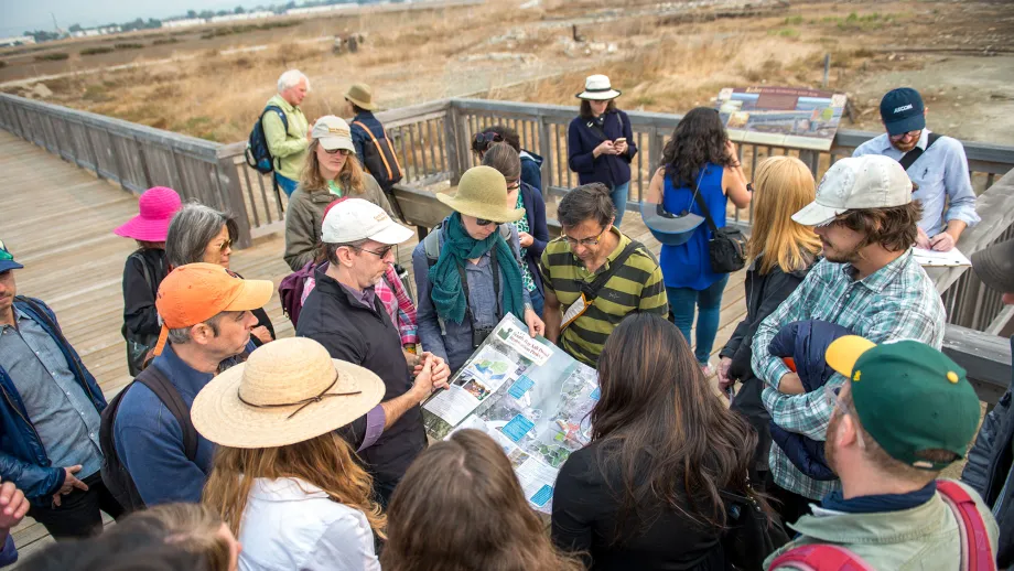 Design team members peruse a large brochure of the South Bay Salt Ponds