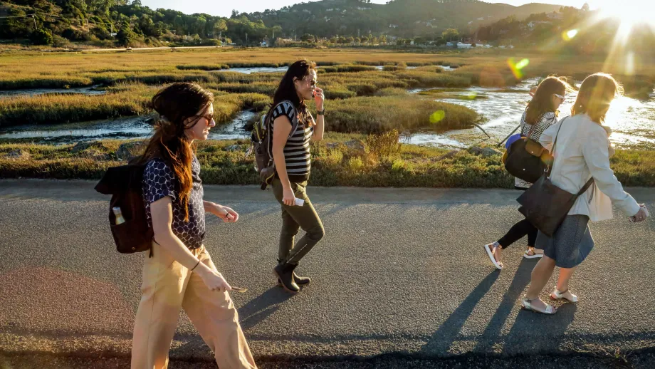 Walking along the flood plane in Mill Valley