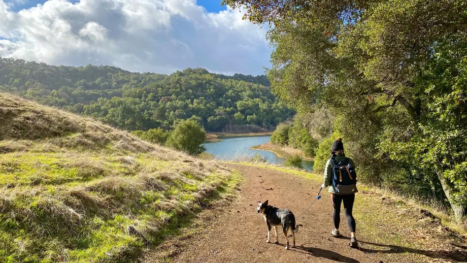 A person walking their dog on a serene path in Briones Hills, with mountains and a lake in the distance.