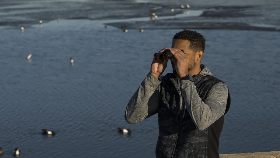A person birdwatching on the Bay Trail.