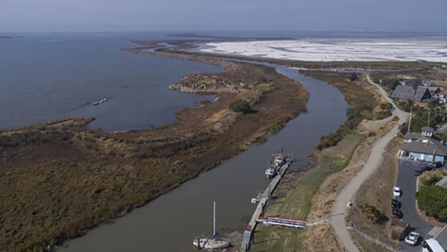 Aerial photo of Alviso Slough River